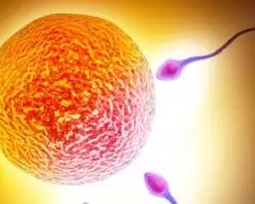 全国首家！未婚女性可在代妈“冻卵”，费用不到2万