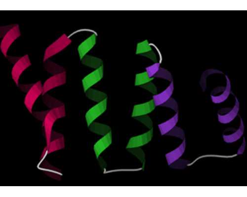 找自然受孕代妈qq群_兰州助孕哪里做试管可以选男女要多少钱