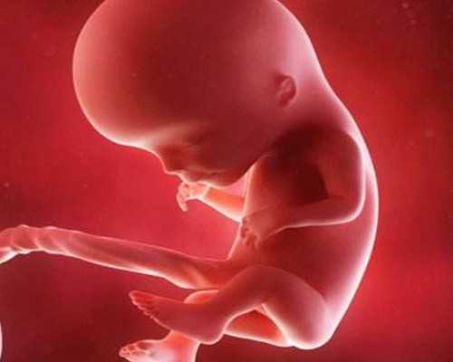 北京306医院生殖中心借卵生男孩费用预估3-12万元?-代孕公司招代妈_私立代生公