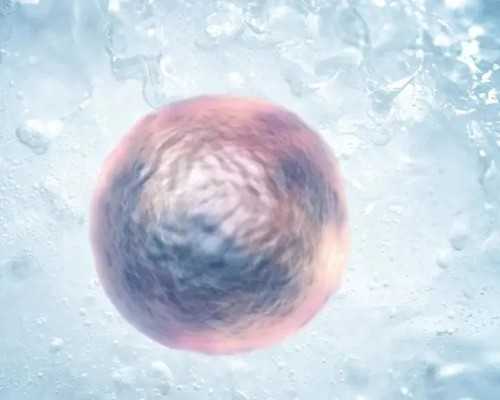 自然代妈的自述_沈阳助孕试管婴儿胚胎移植成功着床后一般多久能听到胎心？