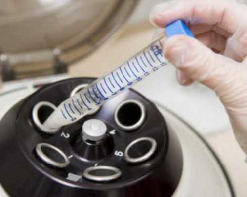 正规公司高薪急招代妈_这几种病症可以做试管婴儿助孕吗?