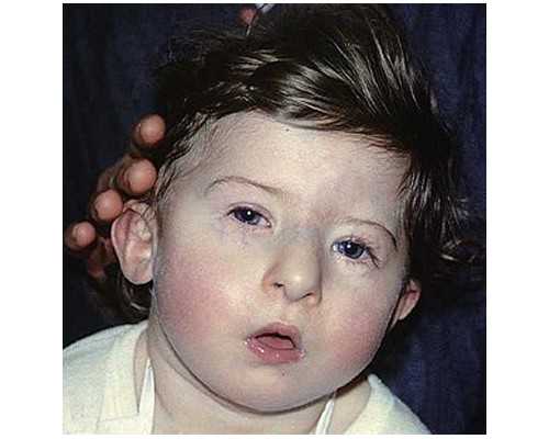 准备做代妈_利于受孕的食物有哪些？助孕主要补什么？