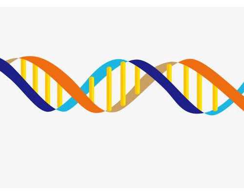 天津高龄供卵失败案例_6个月的宝宝怎么添加辅食