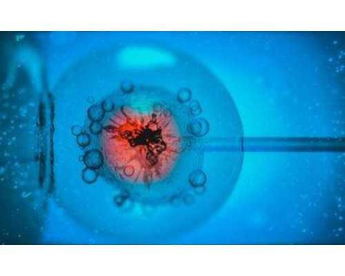 找试管代妈AA69实力_找试管代妈注意什么_俄罗斯试管婴儿助孕，三个方法提高成