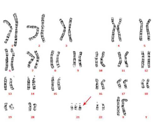 真心找代妈中介勿扰非诚勿扰_找个代妈生小孩可以吗_三款美味食谱帮助孕妈妈