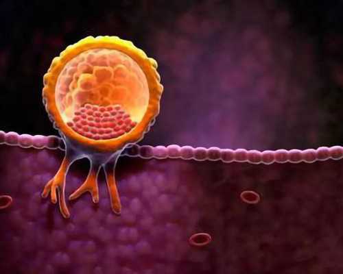 正规代妈问优宝助孕专家_多次试管助孕失败，可以通过赴俄罗斯试管完成受孕