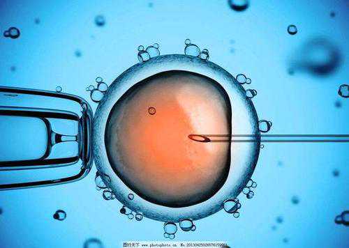 专业代妈价格_漳州助孕提示在试管婴儿中如何看懂性激素六项报告？